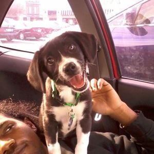 Meet your Posher, Dominique